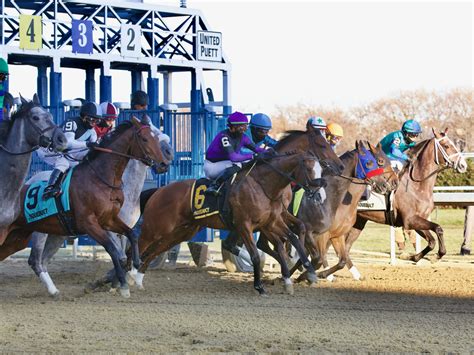 PlayUp Racebook: Bet on Horses 17+ .